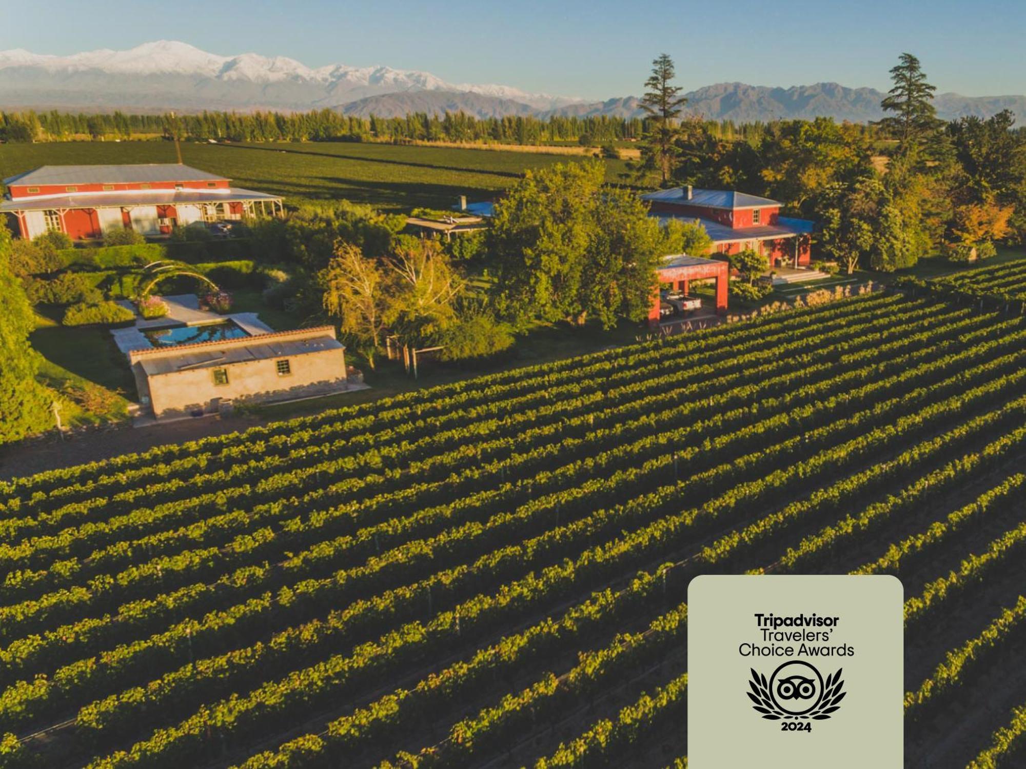Enlace Wine House Lujan de Cuyo Εξωτερικό φωτογραφία